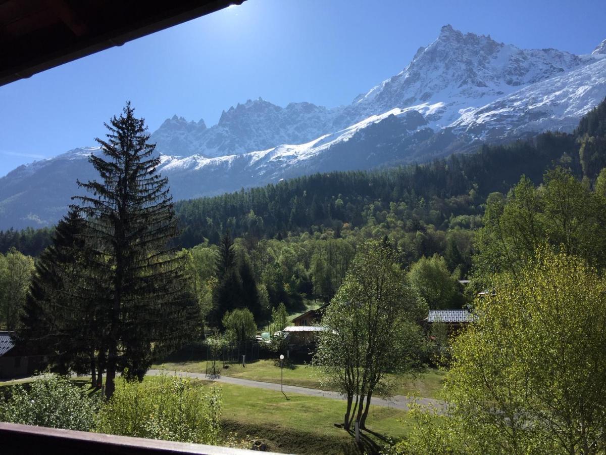 Appartement face au Mont Blanc&Glaciers Chamonix Extérieur photo