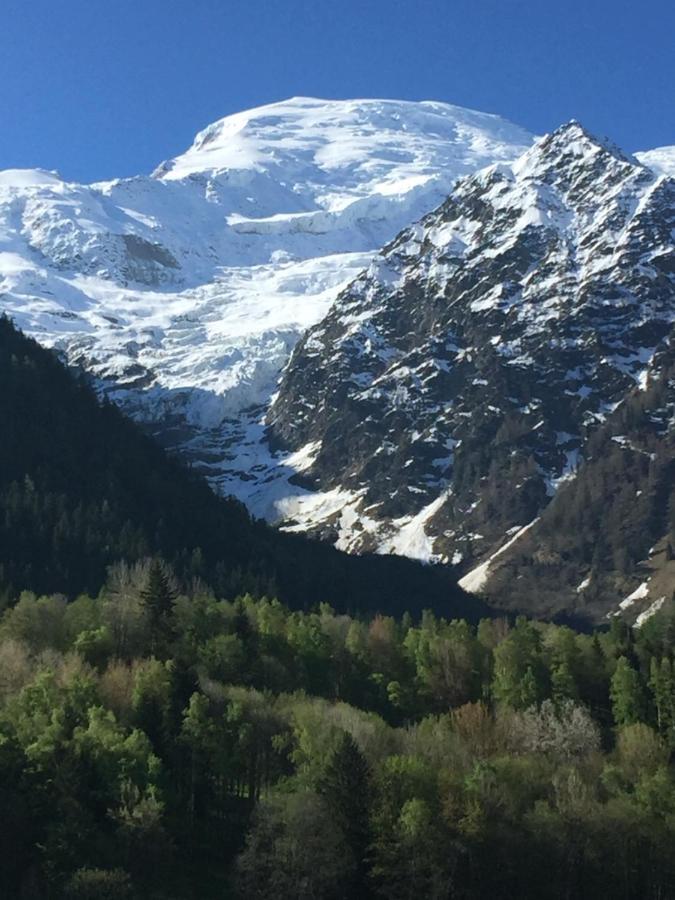 Appartement face au Mont Blanc&Glaciers Chamonix Extérieur photo